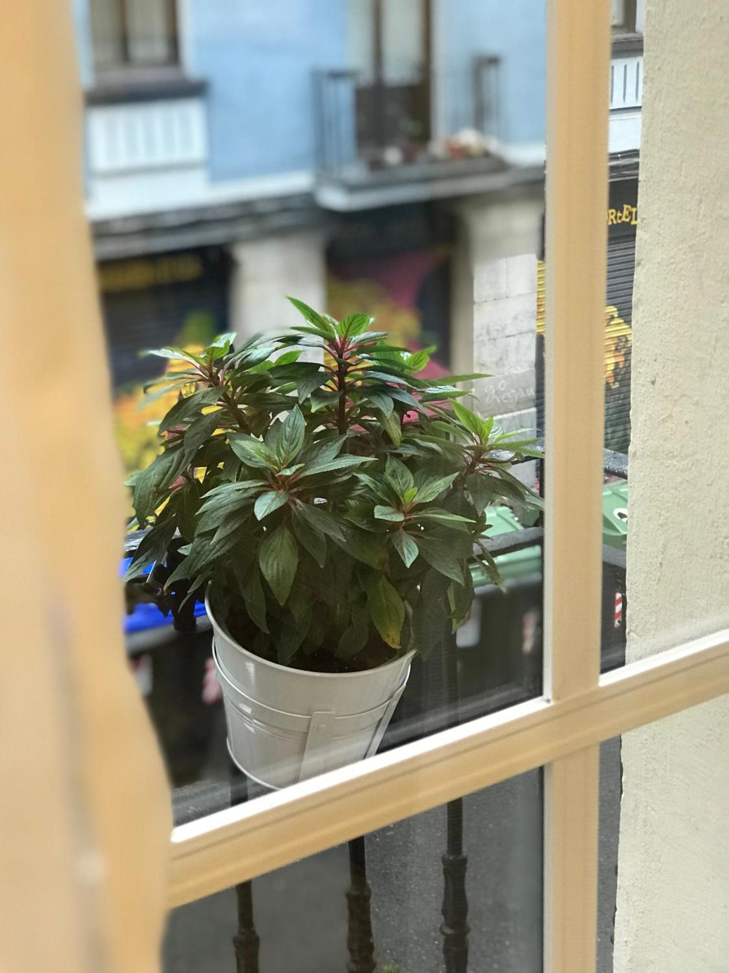 Appartamento Fika Flat Casco Viejo Parking 15Euro X Dia Bilbao Esterno foto